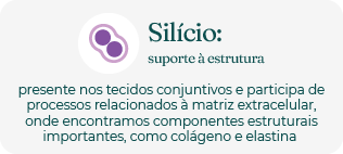 Silício